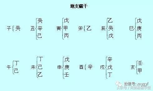 地支十神看本气_地支藏气_地支藏干本气中气余气