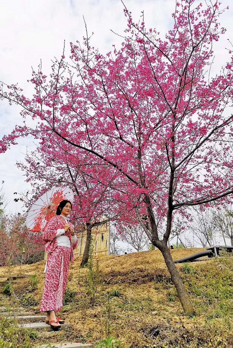 什么是民俗文化_居住民俗地域文化论文_民俗传统与现代文化