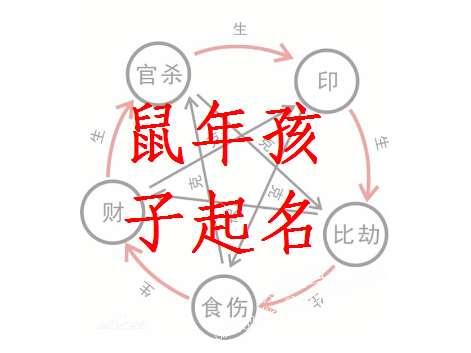 
属鼠的八卦起名好名字将会对你的人生