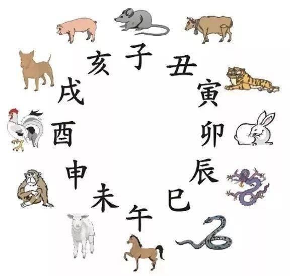 甲骨天干地支 汉字中最神秘的22个字本文(图)