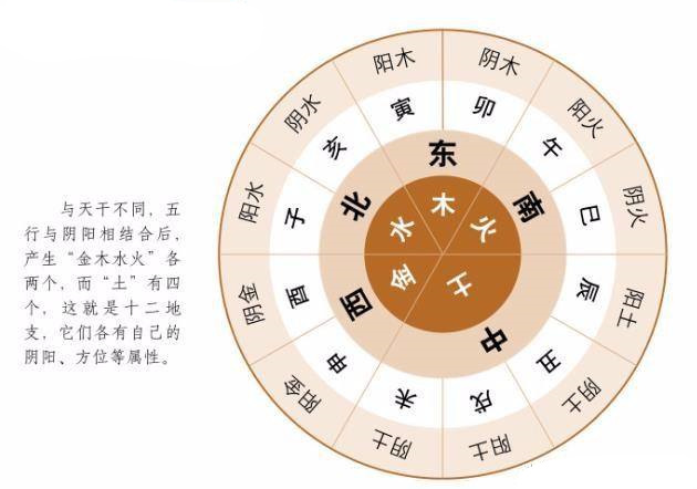 甲骨天干地支 汉字中最神秘的22个字本文(图)