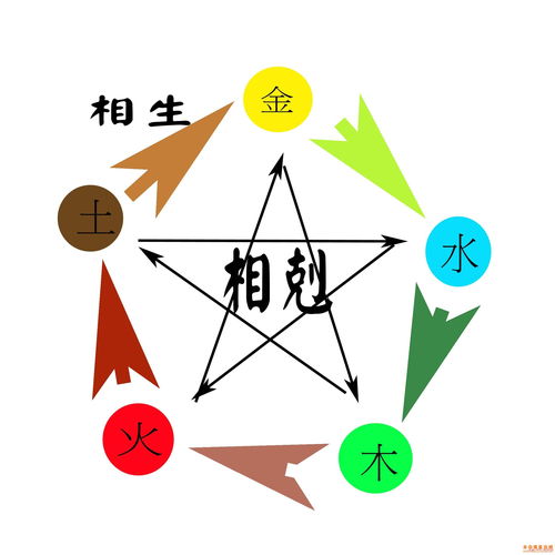 八字纳音五行解析大林木命对应的知识点，五行