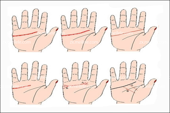手掌上微小掌纹就是命运的预示，你有吗？