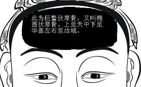 面相学中，女人贵不可言的面相相貌？让本期女人面相图解