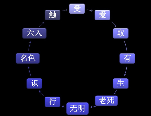 佛经可以代表佛教的核心思想，都是虚妄不实的