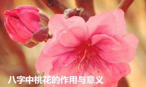 自己的八字中有哪些桃花神煞，你知道吗？