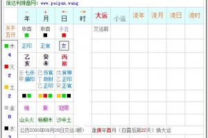 如何看八字排盘结果,八字排盘算命免费