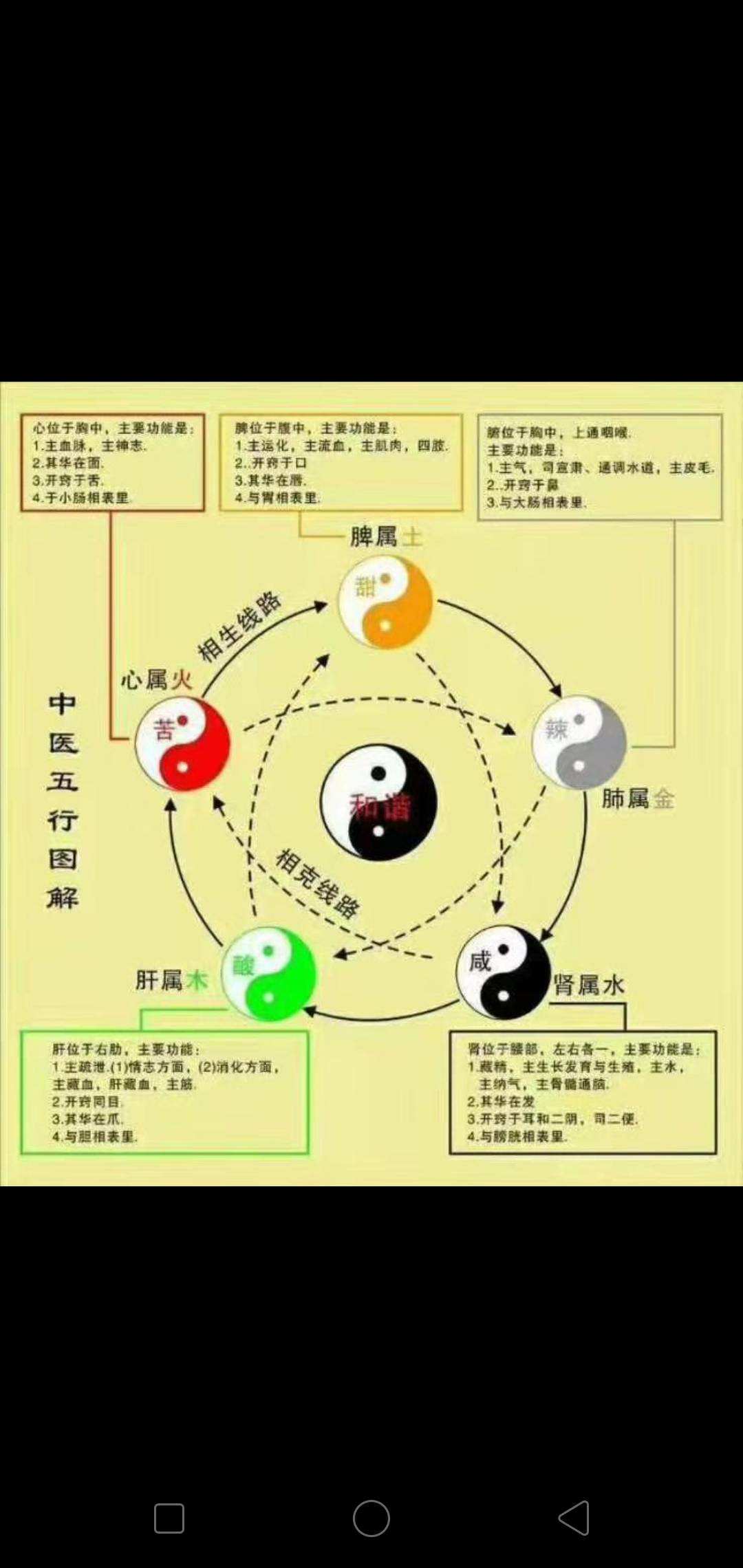 葛广洗董仲舒的黄老思想分析探讨具有重要意义