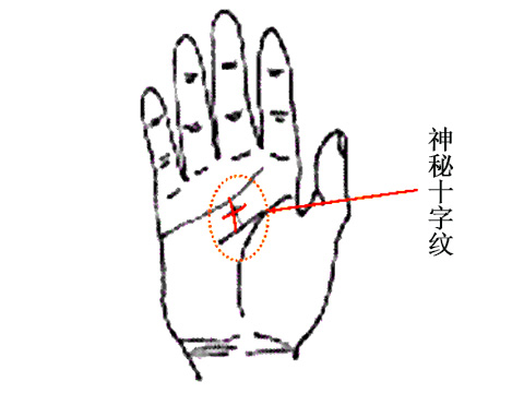 手相之灵能九纹以下九种纹路是属于灵感力和直觉感