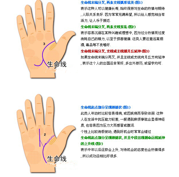 双重生命线代表什么？手相两条生命线的含义有哪些？