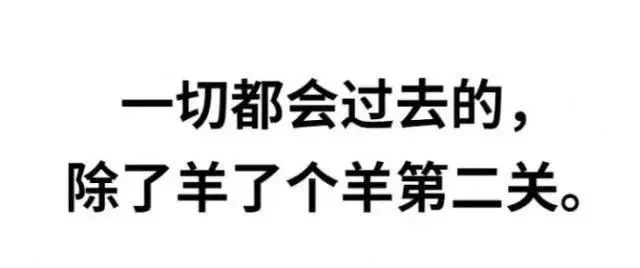 羊了个羊，你知道这羊是个什么来头的羊吗？