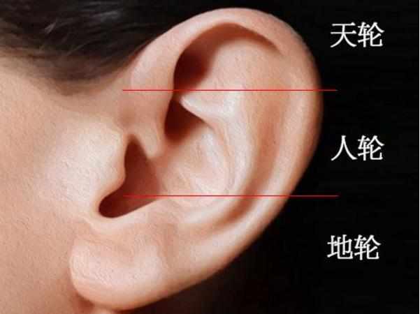 耳朵左右不对称的面相说法是事业成功的耳朵！