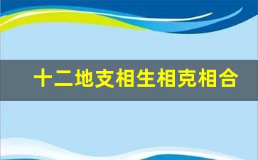 十二地支相生相克相合图