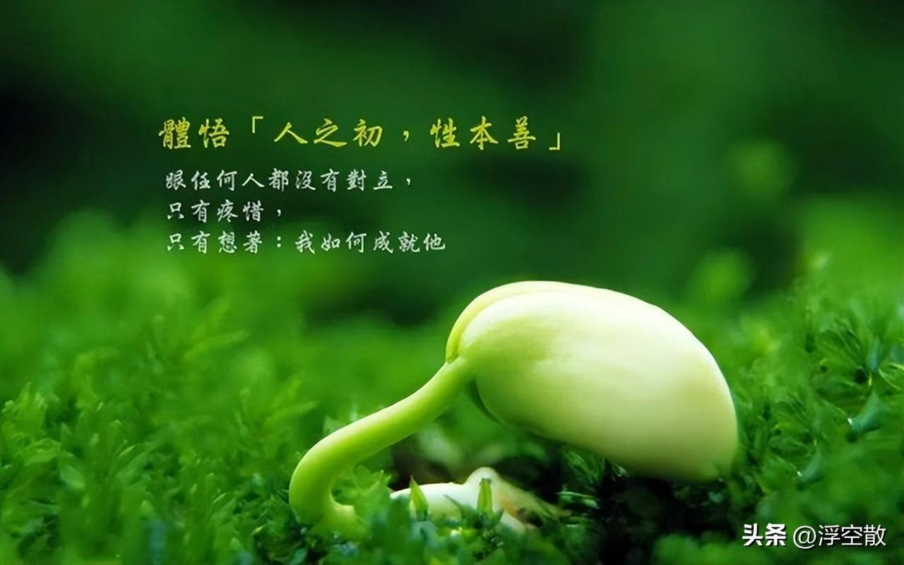 重读经典：远古大咖儒家思想