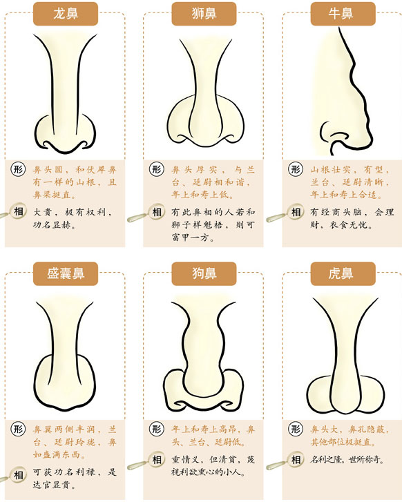 女人鼻子面相看你旺夫与否，你知道吗？