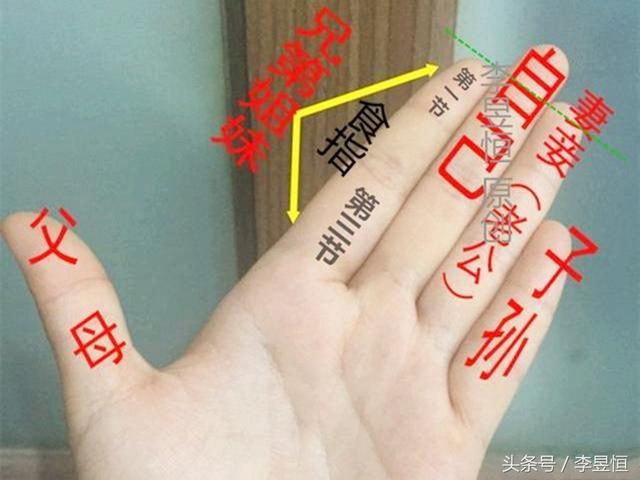 （李向东）手的指节和指关节有什么区别？