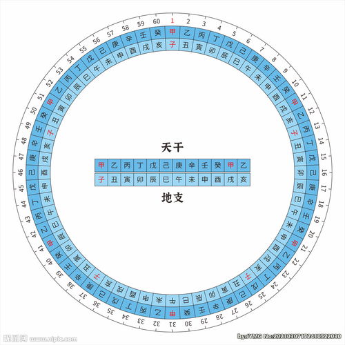 十二生肖对应的天干地支图