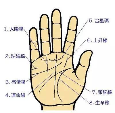 如何看手相感情线知程度?手相是什么意思?