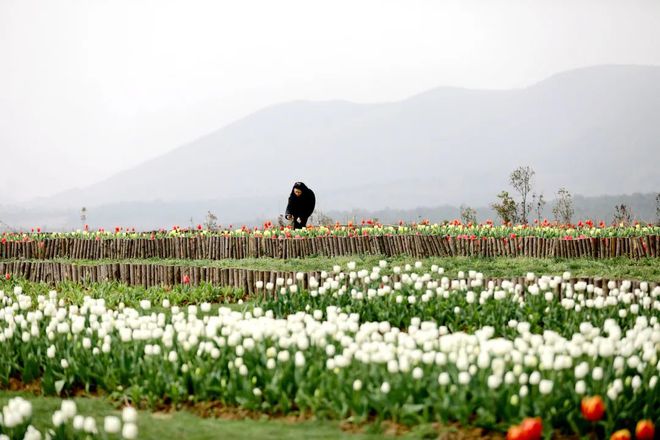 在三瓜公社遇见我们的小幸福姐妹们