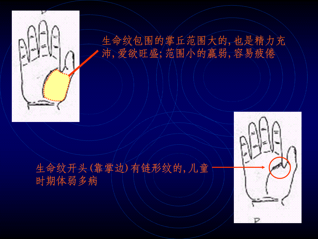 女生手掌纹路图解：最详细的女人手相解读，了解生命、命运与感情